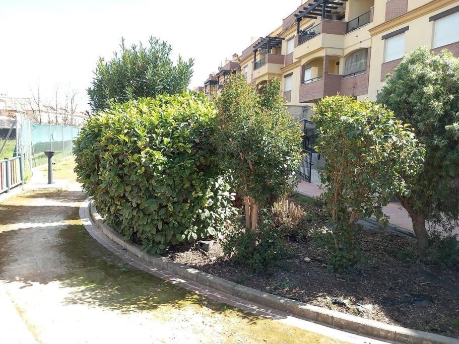 El Nido Del Nomada Apartment Atarfe Bagian luar foto
